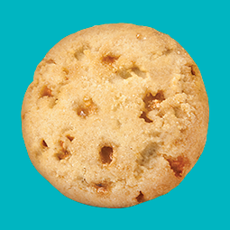Toffee Tastic on a teal background
